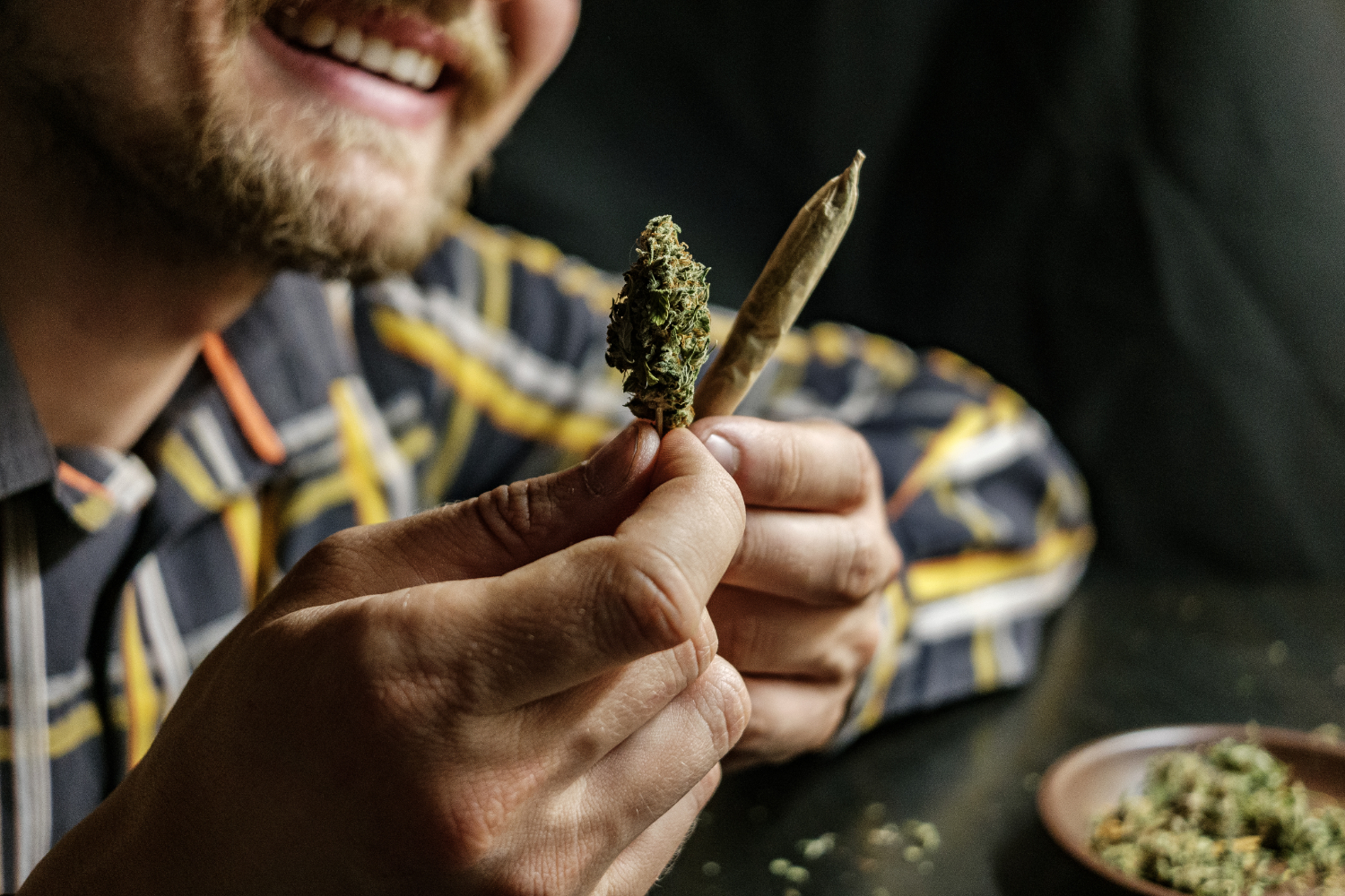 cannabis torrevieja - club social GORILLA GLUE 420