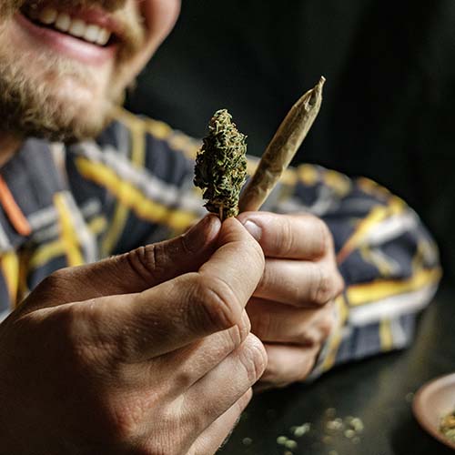 CLUB CANNABICO TORREVIEJA - SAMURAI 420